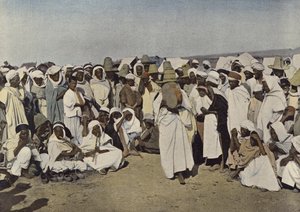 Arabisk troldmand, slangetæmmer